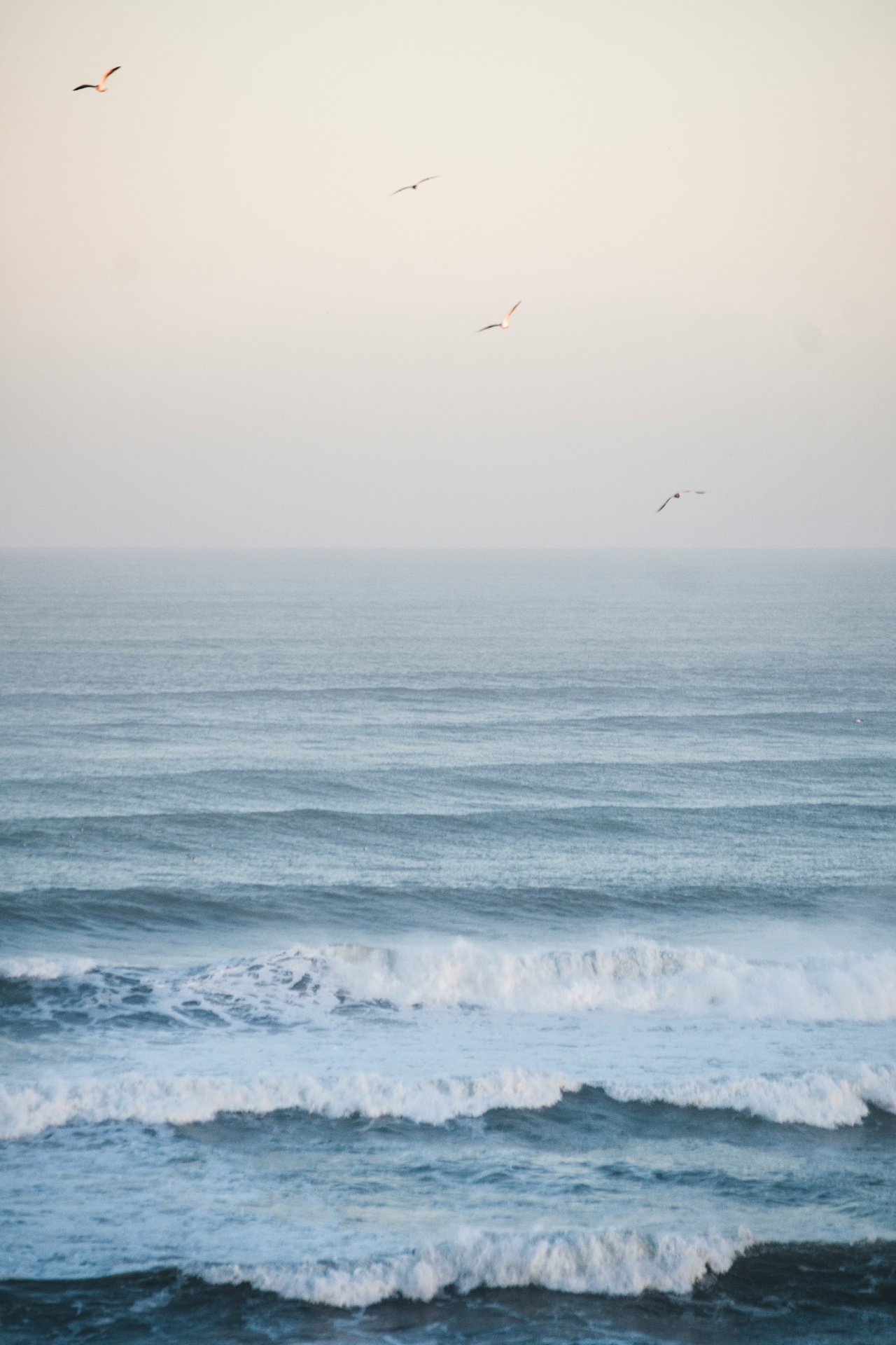 Calming Visuals calming visual
